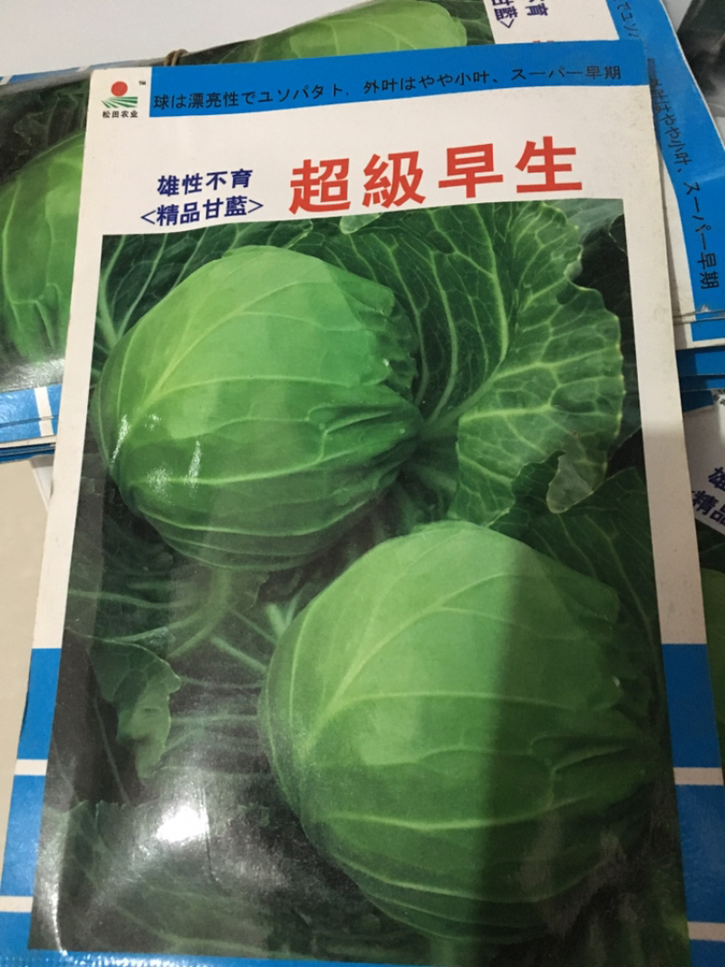 特价甘蓝种子处理，916.**等品种