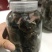 产地直供金线莲种植鲜品，一斤2盒有量有价，来电详谈谈