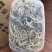 产地直供金线莲种植鲜品，一斤2盒有量有价，来电详谈谈
