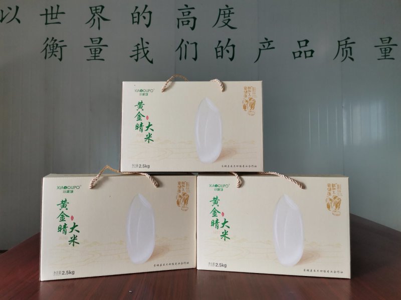 黄金晴大米