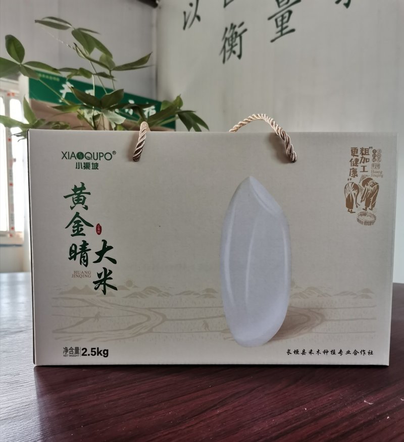 黄金晴大米