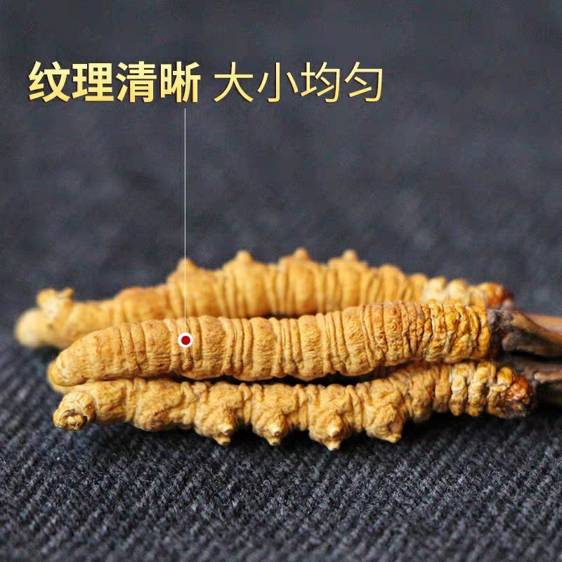 正宗玉树冬虫夏草正品野生虫草西藏那曲干草无断草礼