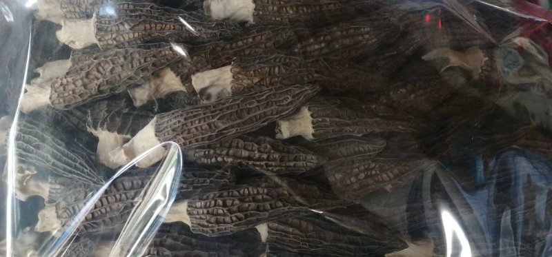 特价羊肚菌干货，一斤一袋，两袋包邮