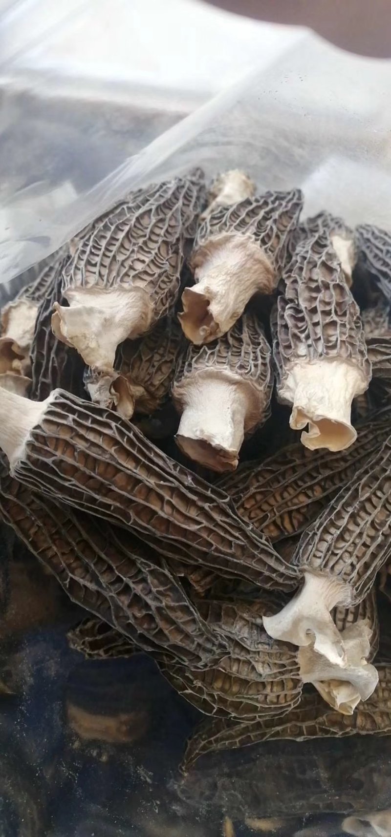 特价羊肚菌干货，一斤一袋，两袋包邮