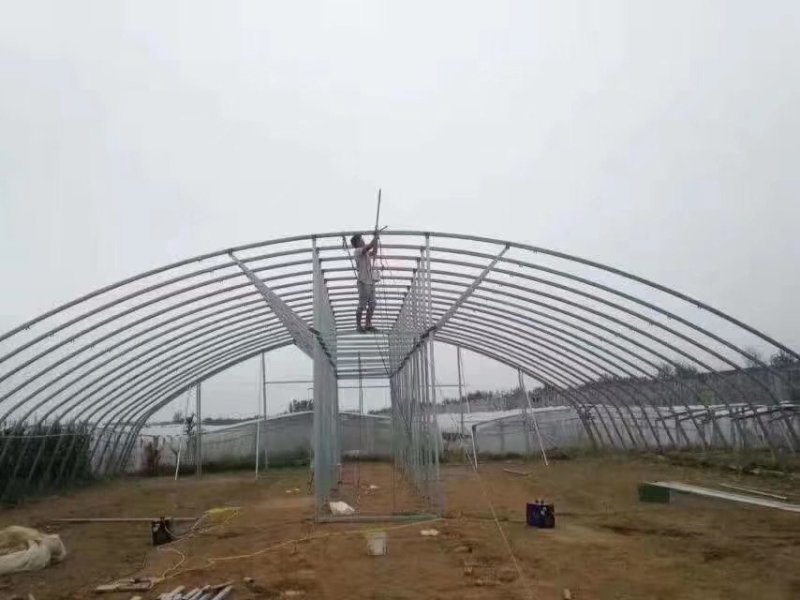 温室大棚全套连体连栋草莓蔬菜养殖钢管大棚支架