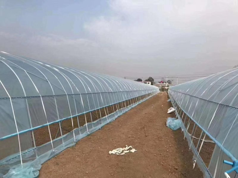 温室大棚全套连体连栋草莓蔬菜养殖钢管大棚支架