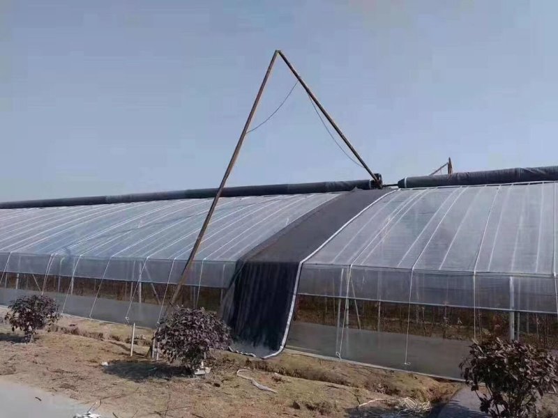 温室大棚全套连体连栋草莓蔬菜养殖钢管大棚支架
