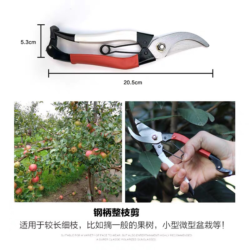 剪枝剪刀园艺修整剪刀包邮