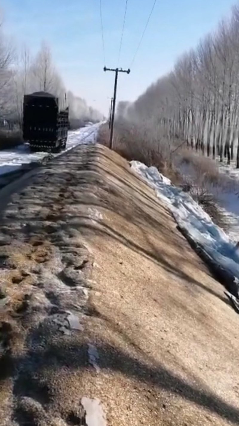 东北稻谷，珍珠稻谷江水灌溉，湿地生长乌苏里江畔