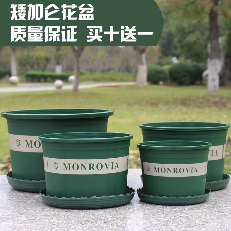 加仑盆加厚塑料花盆种花种菜正品包邮各种型号咨询下单