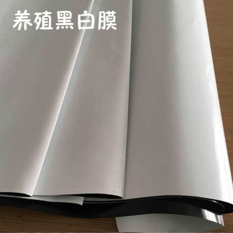 黑白膜PET利得膜农用高品质