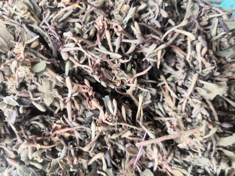 金银花贵州花带毛统货花