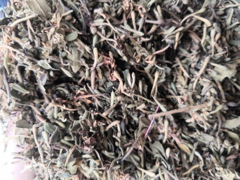 金银花贵州花带毛统货花