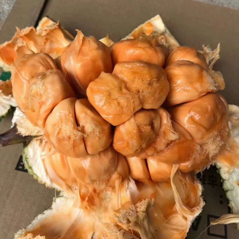 海南精品榴莲蜜