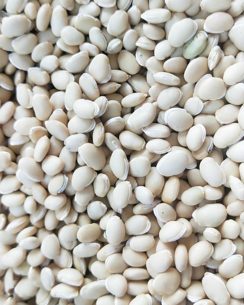 白扁豆扁豆供应上千种中药材批发零售量大从优