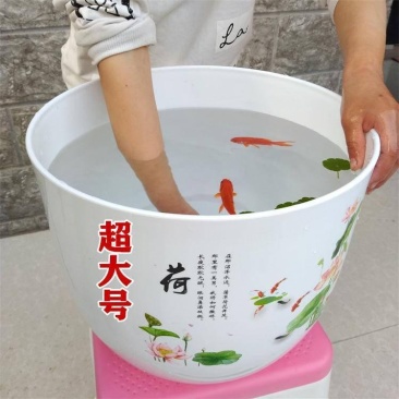新款仿陶瓷塑料树脂底部无孔眼睡莲不漏水水培荷花盆送碗莲种