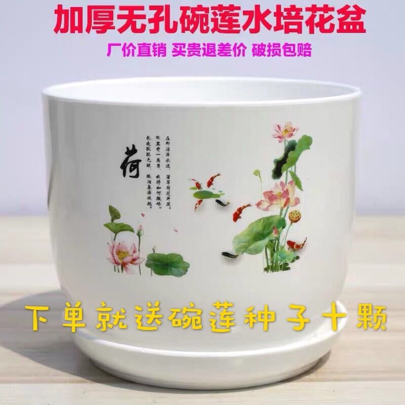 新款仿陶瓷塑料树脂底部无孔眼睡莲不漏水水培荷花盆送碗莲种