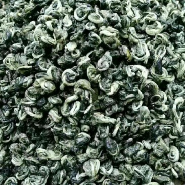 碧螺春茶农自产自销