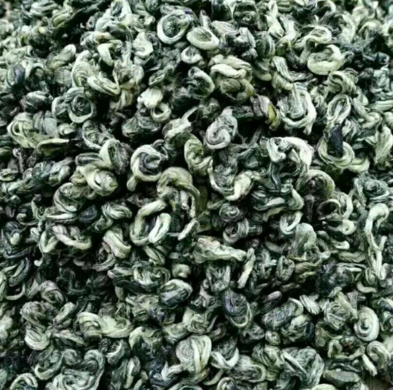 碧螺春茶农自产自销