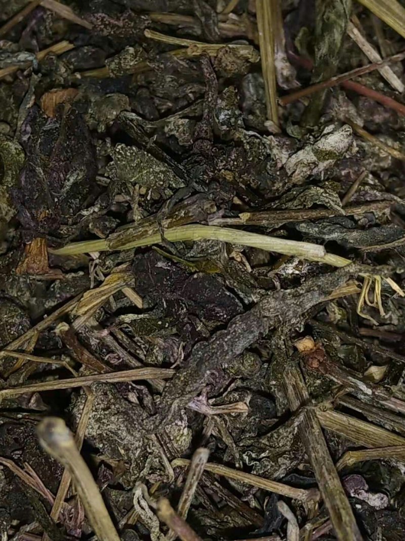 野生藤茶2020年新茶