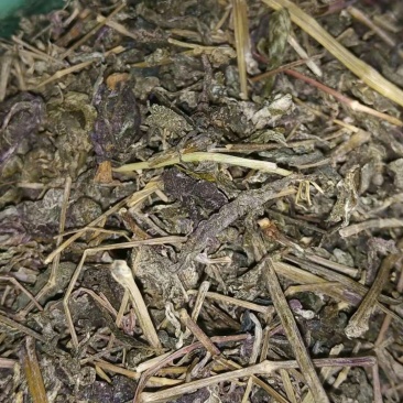 野生藤茶2020年新茶