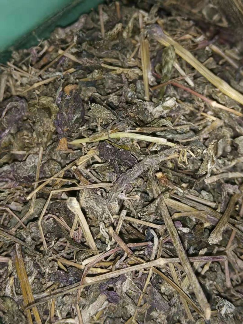 野生藤茶2020年新茶