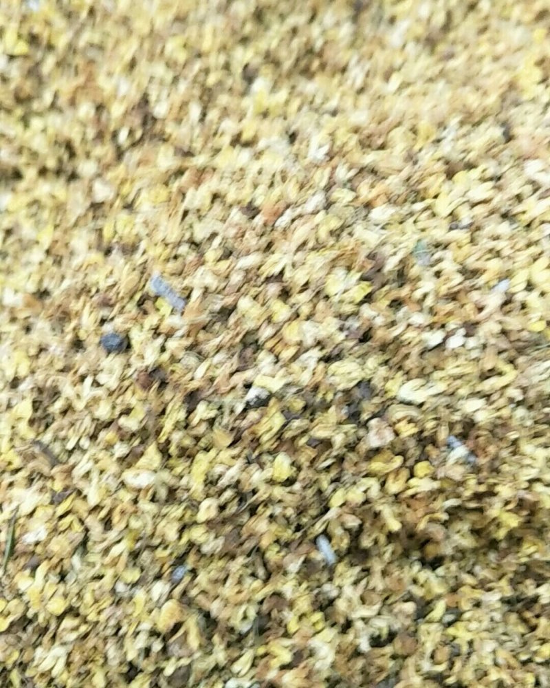 金桂花，常年批发供应金桂花，干桂花，桂花