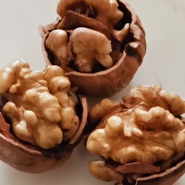 薄皮核桃
