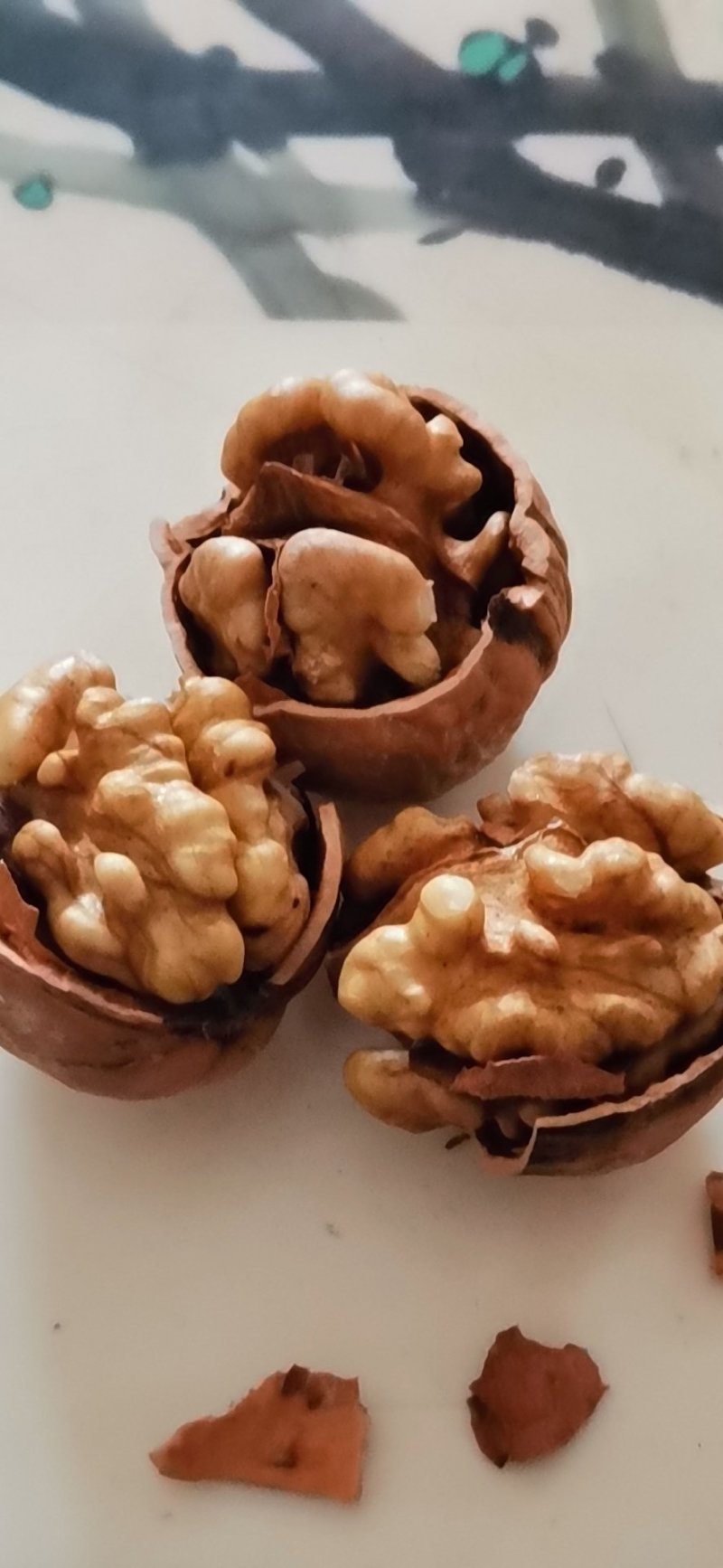 薄皮核桃