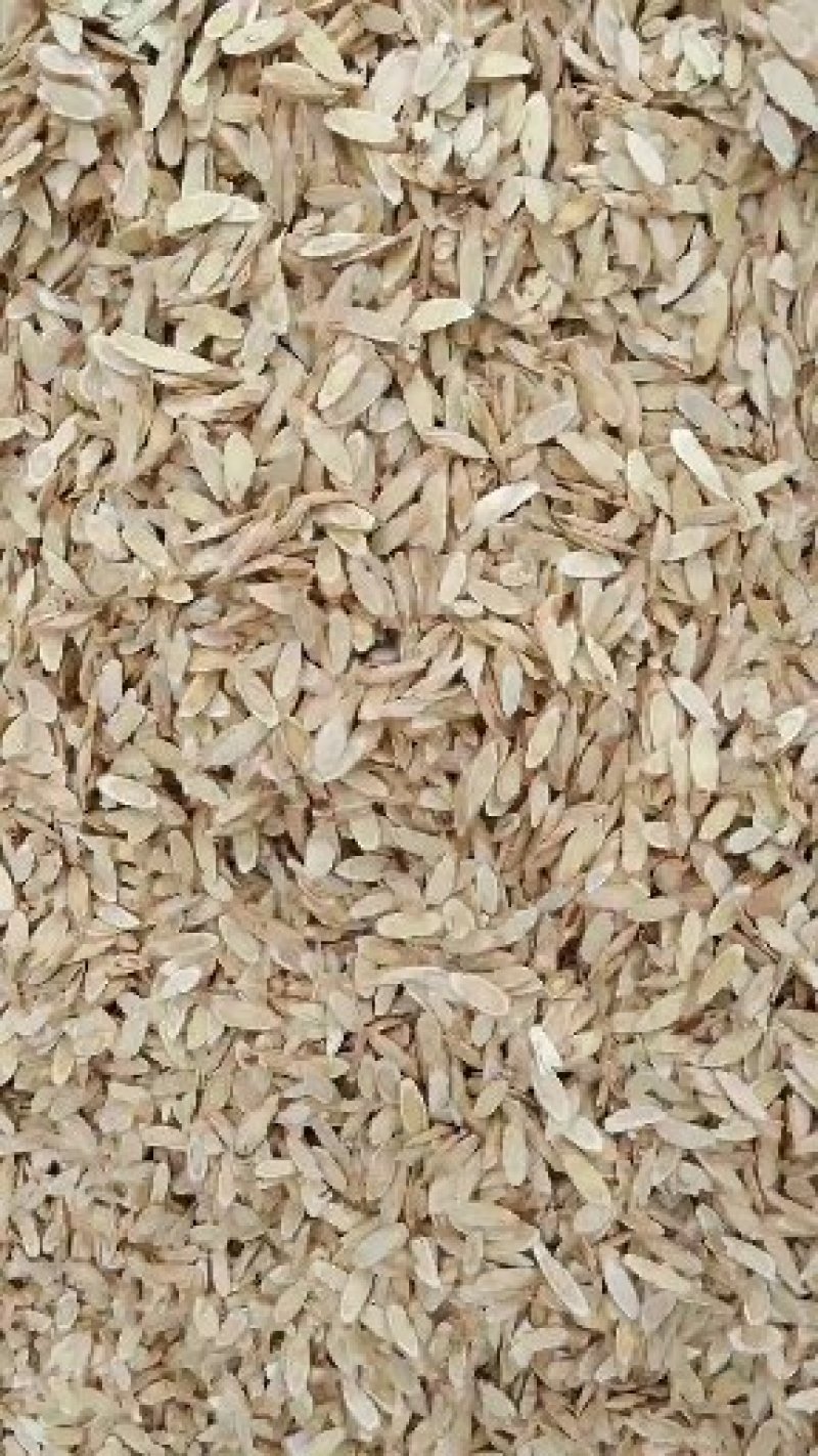 原产地直供黄芪瓜子、规格齐全、货源充足、量大从优