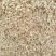 原产地直供黄芪瓜子、规格齐全、货源充足、量大从优