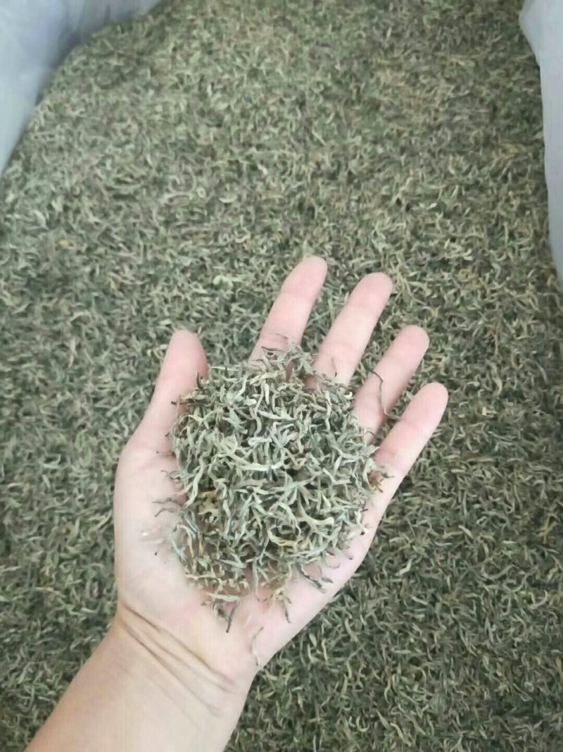 云南绿茶2020年新茶