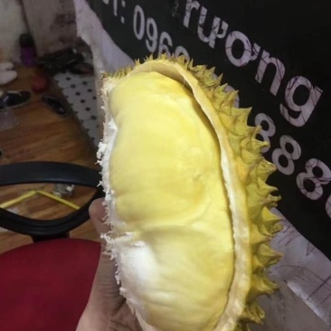 泰国金枕榴莲榴莲