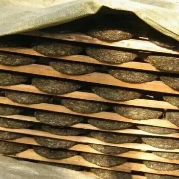 正宗云南普洱茶2020年新茶