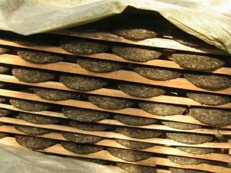 正宗云南普洱茶2020年新茶