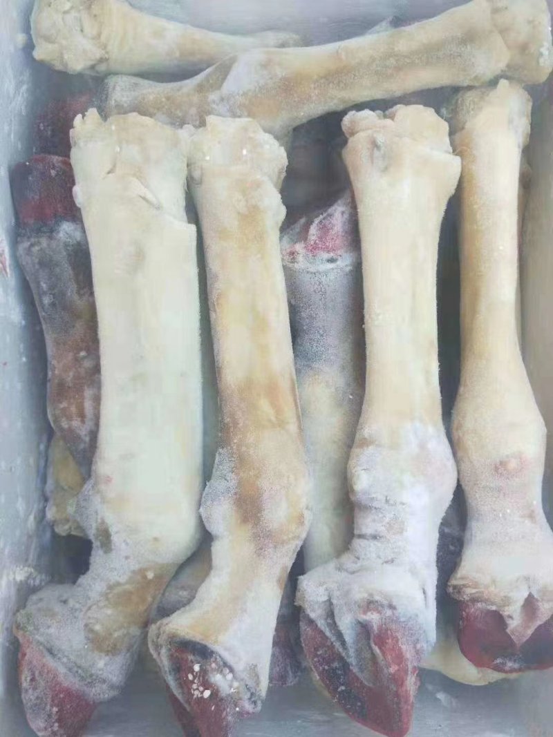 驴蹄，鲜驴蹄，人工屠宰水褪毛，