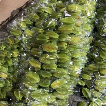 台湾甜杨桃