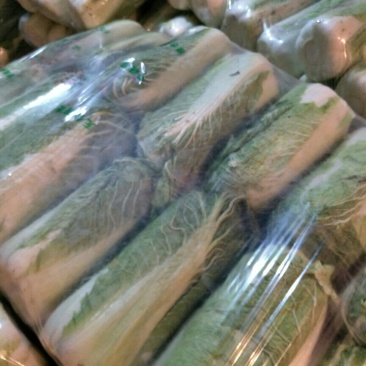 窖储大白菜（北京三号）大量供货，需要的联系