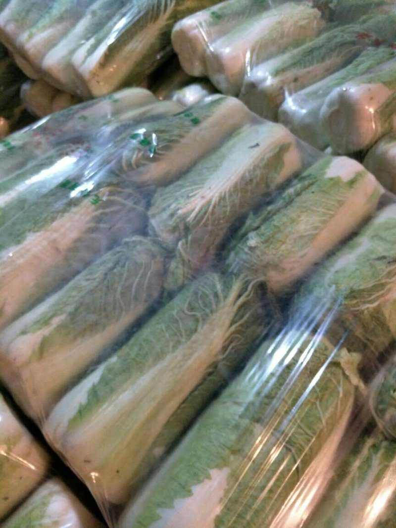 窖储大白菜（北京三号）大量供货，需要的联系