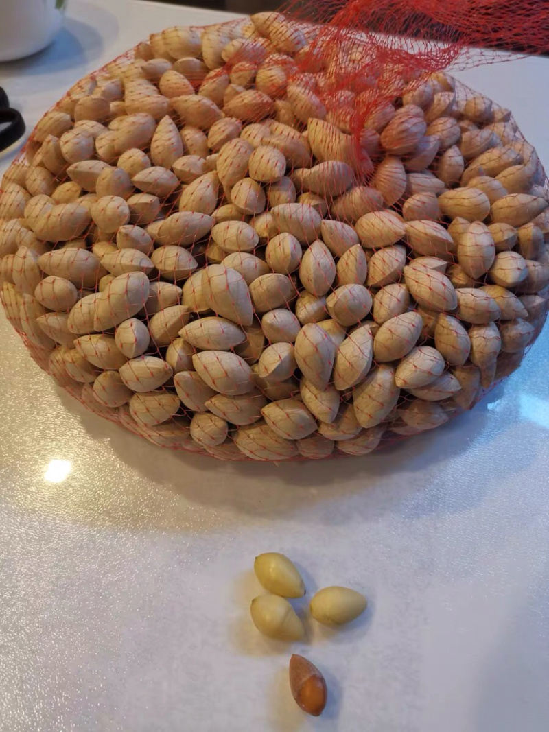 干白果生白果银杏果白果白果仁农副土特产品