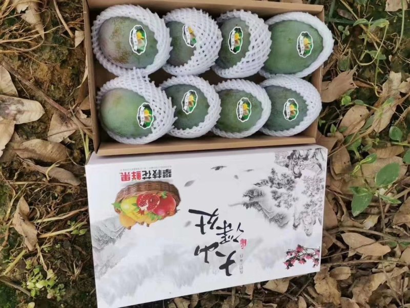 支持电商平台，物流，空运，拼车，单车，落地配