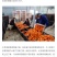 湖北当阳椪柑大量出货
