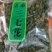 三七花，常年批发供应三七花