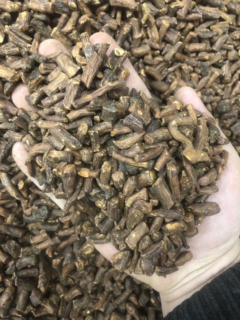 包邮蒲公英根婆婆丁蒲公英茶