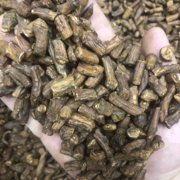 包邮蒲公英根婆婆丁蒲公英茶
