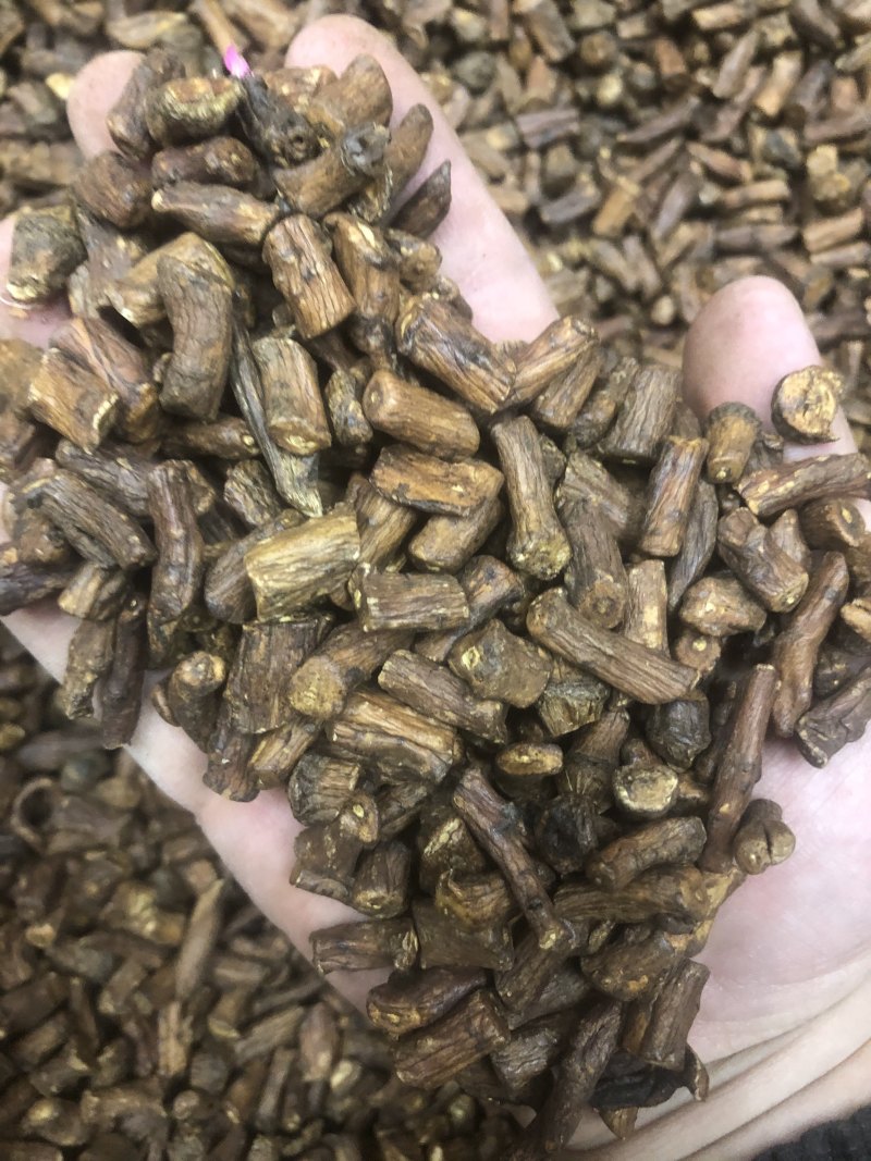 包邮蒲公英根婆婆丁蒲公英茶