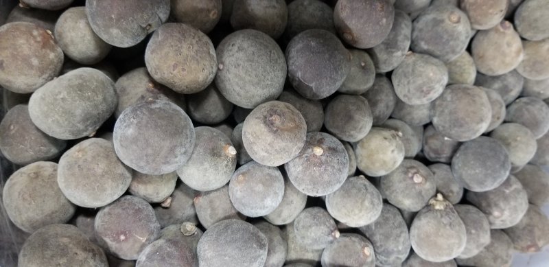 正宗正毛化州橘红果橘红片直接可以泡茶起包邮质量保