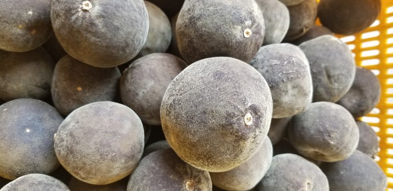 正宗正毛化州橘红果橘红片直接可以泡茶起包邮质量保