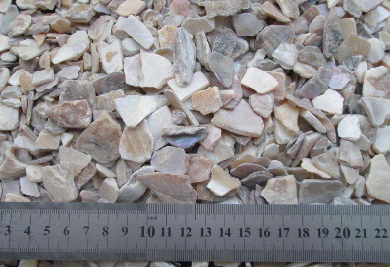 珍珠母两斤以上包邮珠牡丹珠母真珠母中药材