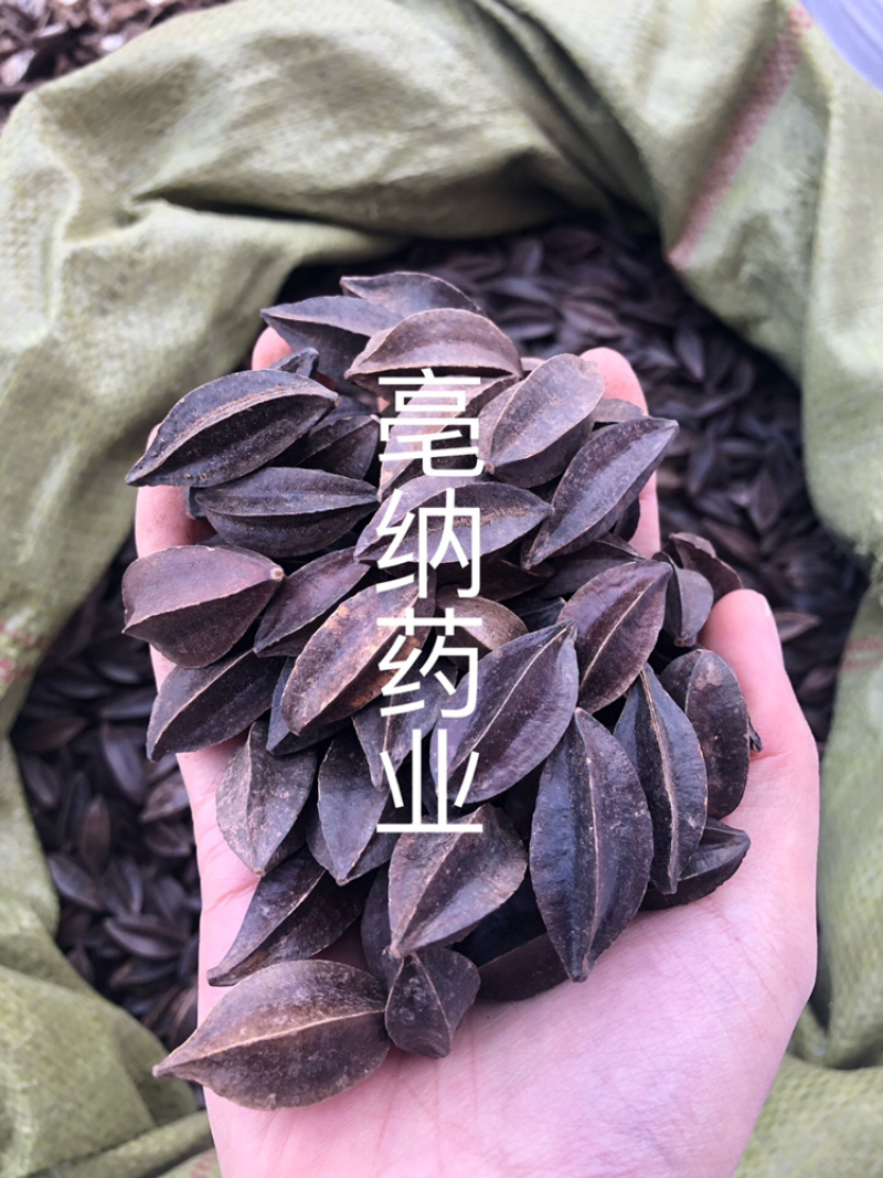 使君子中药材史君子四川五棱子1⃣️公斤起批